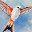 展翅翱翔/WINGSPAN