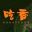 吃香/Ghost Feed