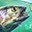 终极钓鱼模拟器2/Ultimate Fishing Simulator 2