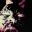 咒笼: 诅咒领域/NOROI KAGO: the Grudged Domain