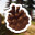 松果游戏/Pinecone Game