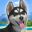 小小伙伴：汪星岛/Little Friends: Puppy Island
