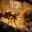 蚂蚁帝国/Empire of the Ants