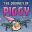 小猪之旅/The Journey of Piggy