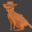 猫猫找猫猫/Cat Search In The Wild West