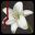 血色逆旅：我们之间的高墙/Scarlet Defiance: The Wall Between Us