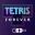 俄罗斯方块永恒篇/Tetris Forever