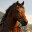 中世纪马贩子模拟器/Medieval Horse Dealer Simulator