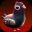 夺命飞鸽/Deadliest Pigeon