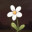 一瓣一瓣/Petal by Petal