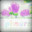 球体探索/Sphaera