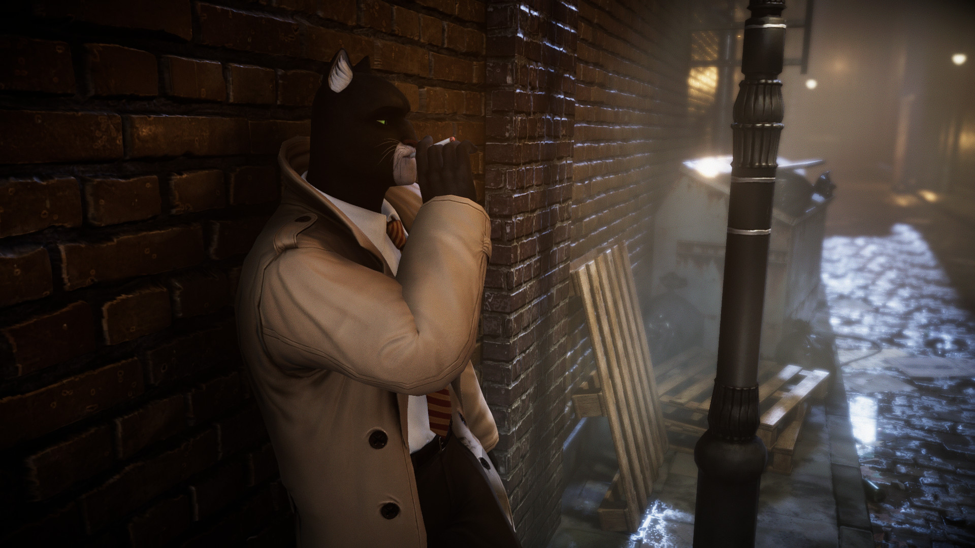 黑猫侦探：深入本质|全DLC|官方英文|支持手柄|Blacksad: Under the Skin - 2