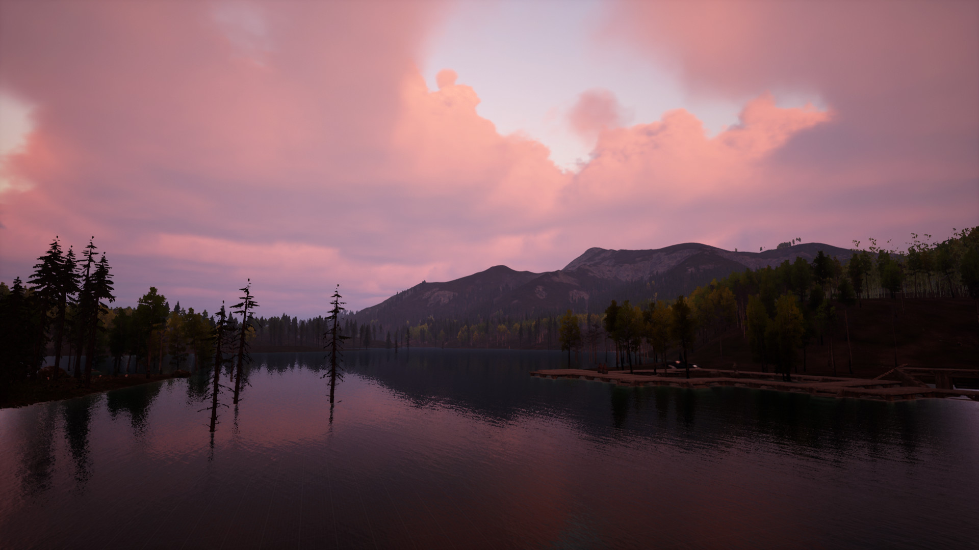 Image 89