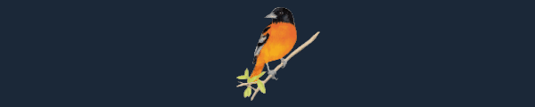 图片[9]-展翅翱翔/WINGSPAN v1.7.1104 集成亚洲篇DLC+全DLC（官中）-无忧免费游戏网