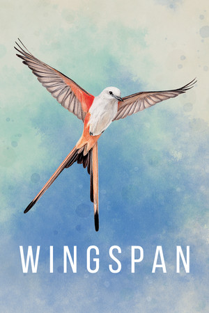 展翅翱翔/WINGSPAN