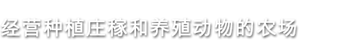 图片[10]-澳洲梦想镇|官方中文|即撸版|-星云科技 adyun.org