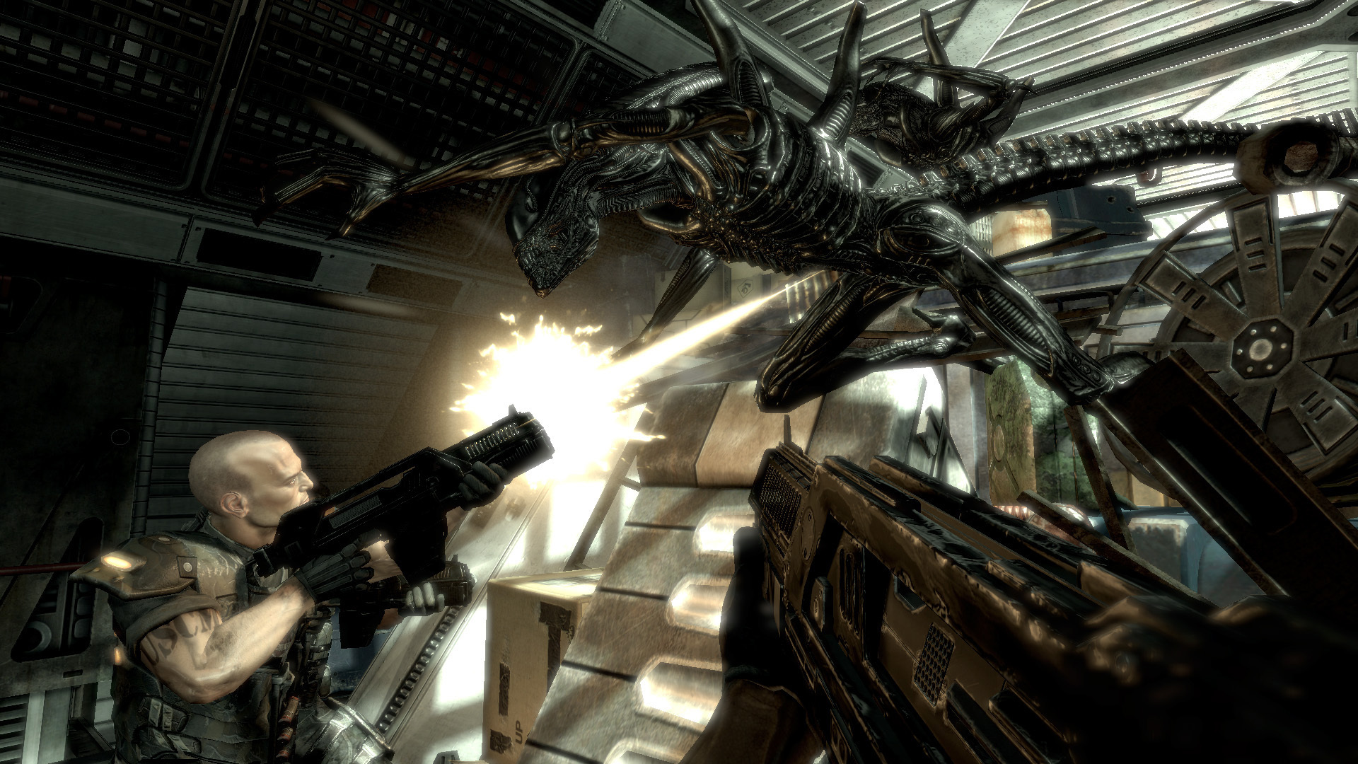 异型大战铁血战士|v20240123|全DLC|汉化中文|Aliens vs. Predator™ - 6