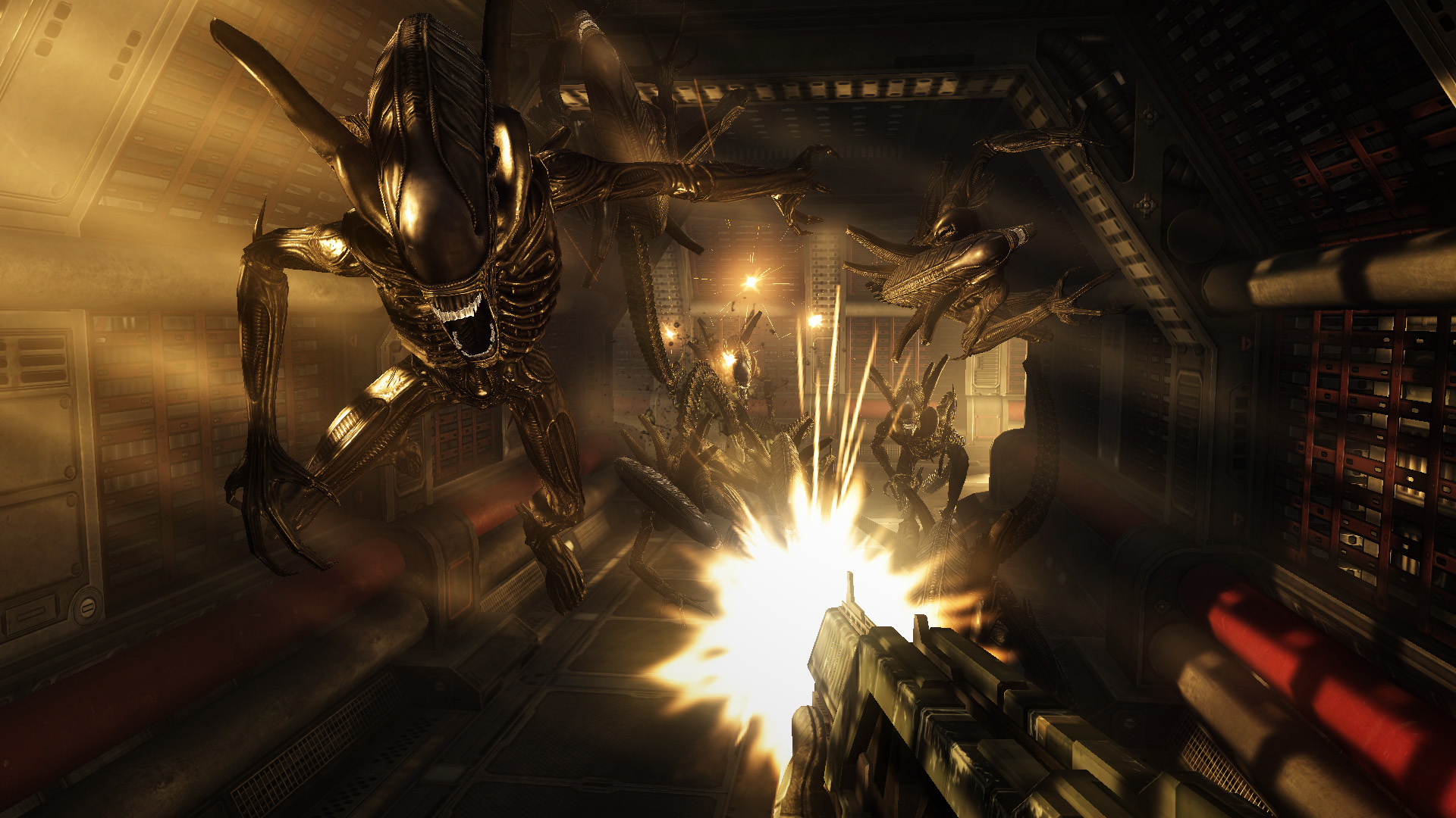 异型大战铁血战士|v20240123|全DLC|汉化中文|Aliens vs. Predator™ - 3