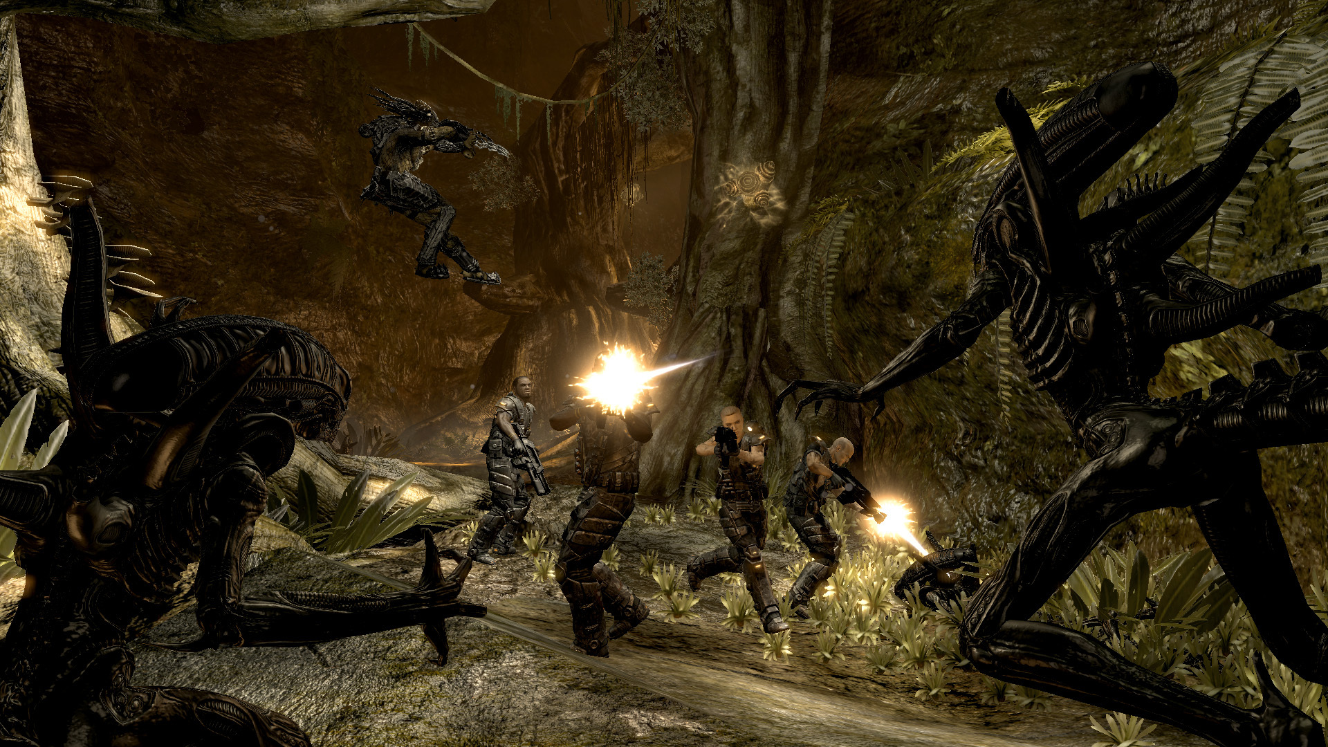 异型大战铁血战士|v20240123|全DLC|汉化中文|Aliens vs. Predator™ - 8