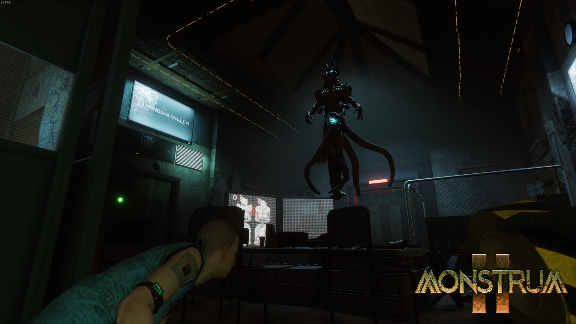 Image 12