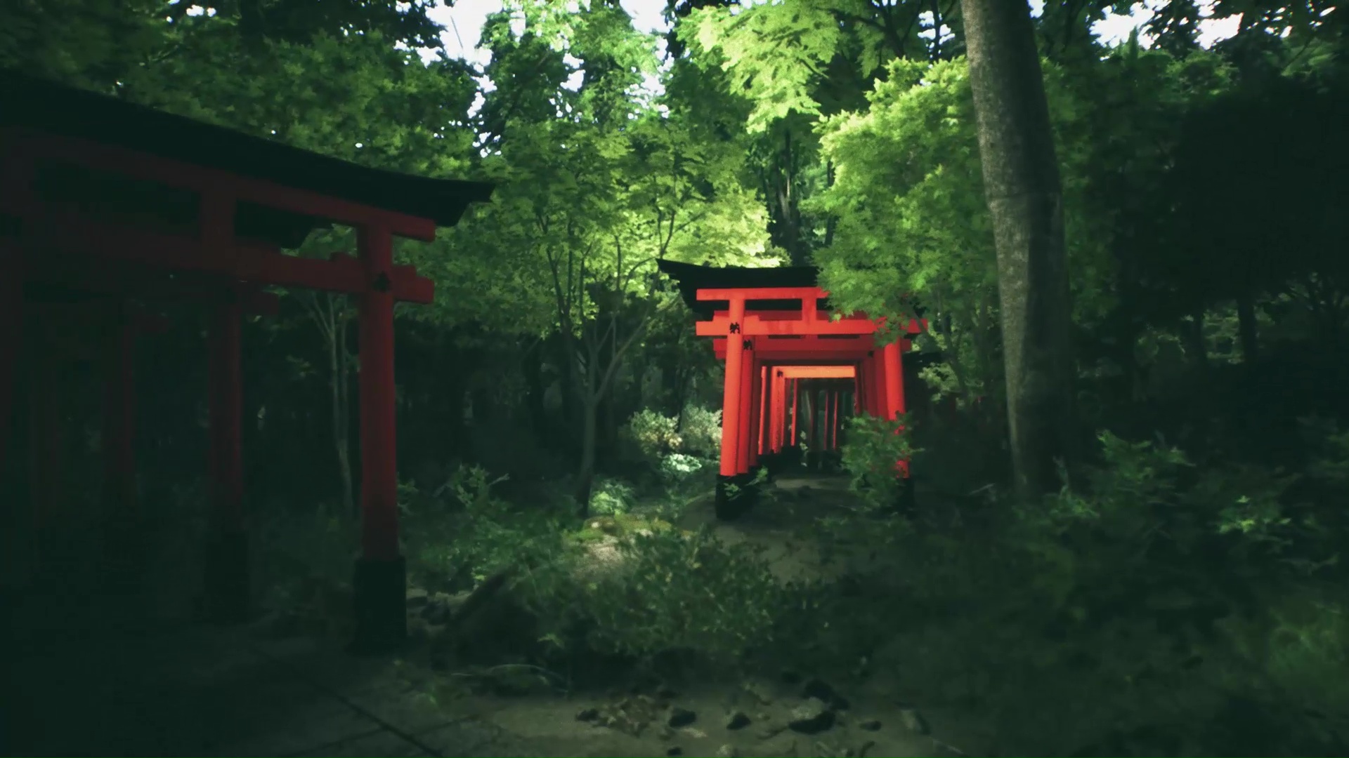 伏见稻荷大社 Explore Fushimi Inari - 6
