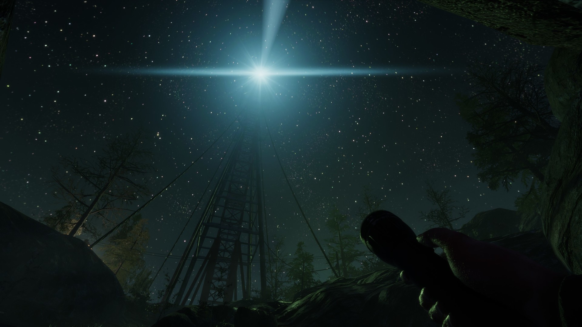 Image 11