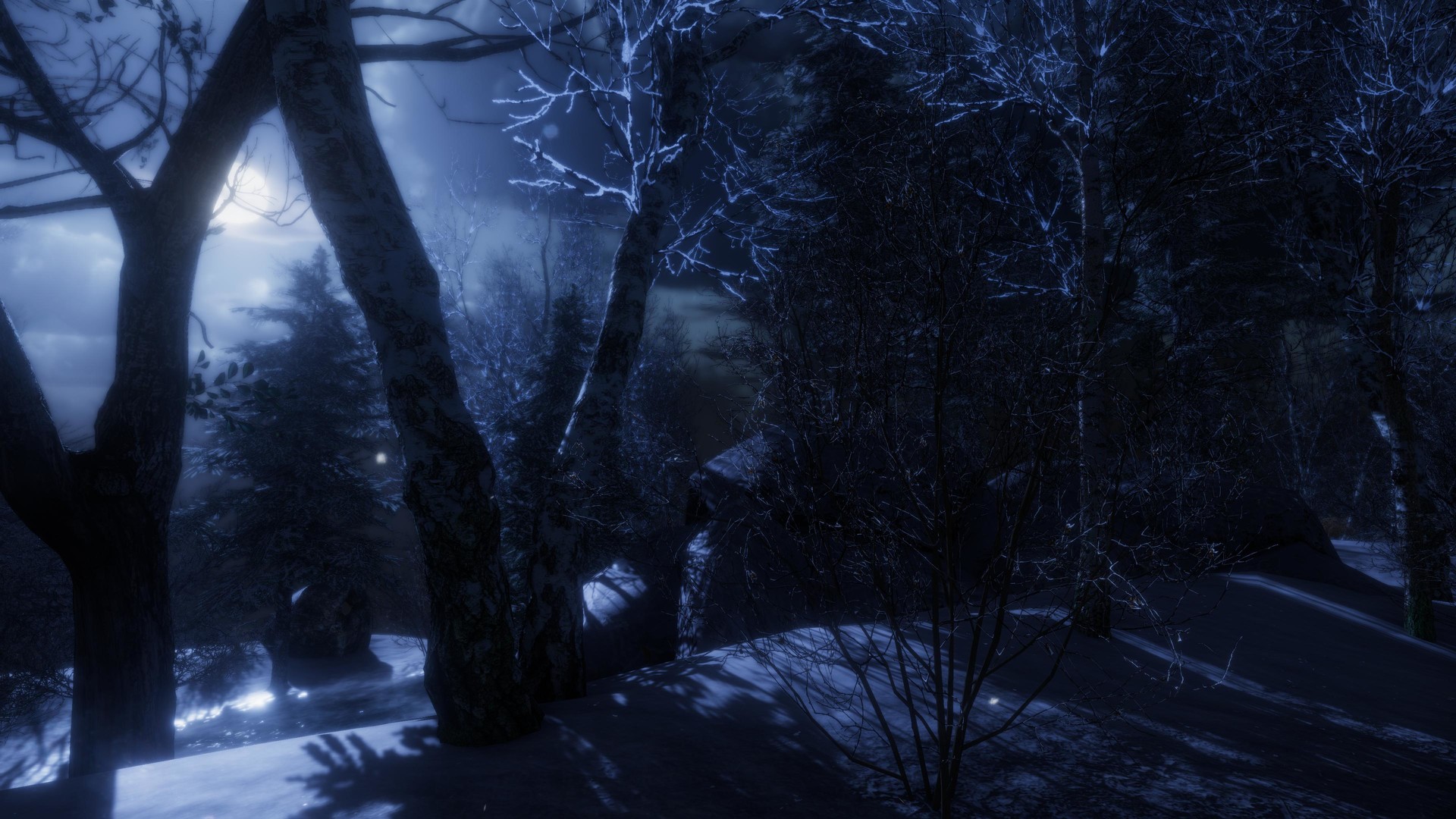 遗忘之地/The Forgotten - 6