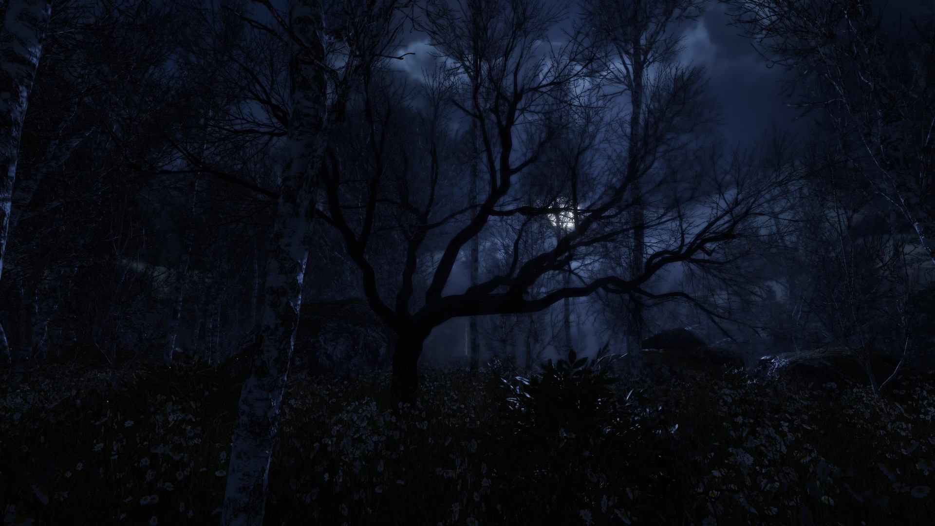 遗忘之地/The Forgotten - 10