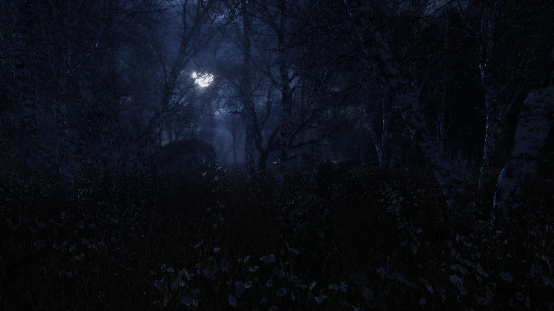 遗忘之地/The Forgotten - 9