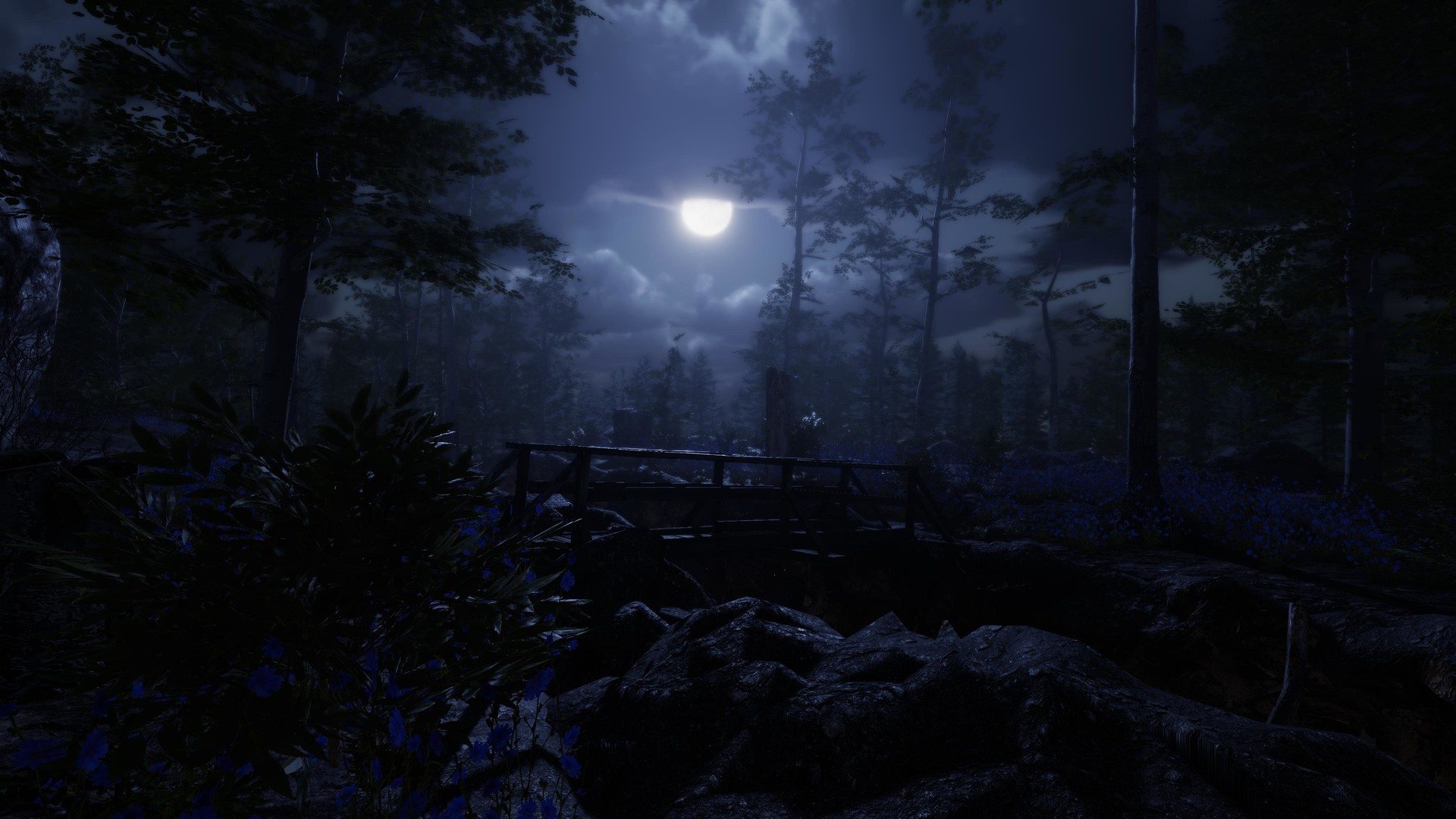 遗忘之地/The Forgotten - 19