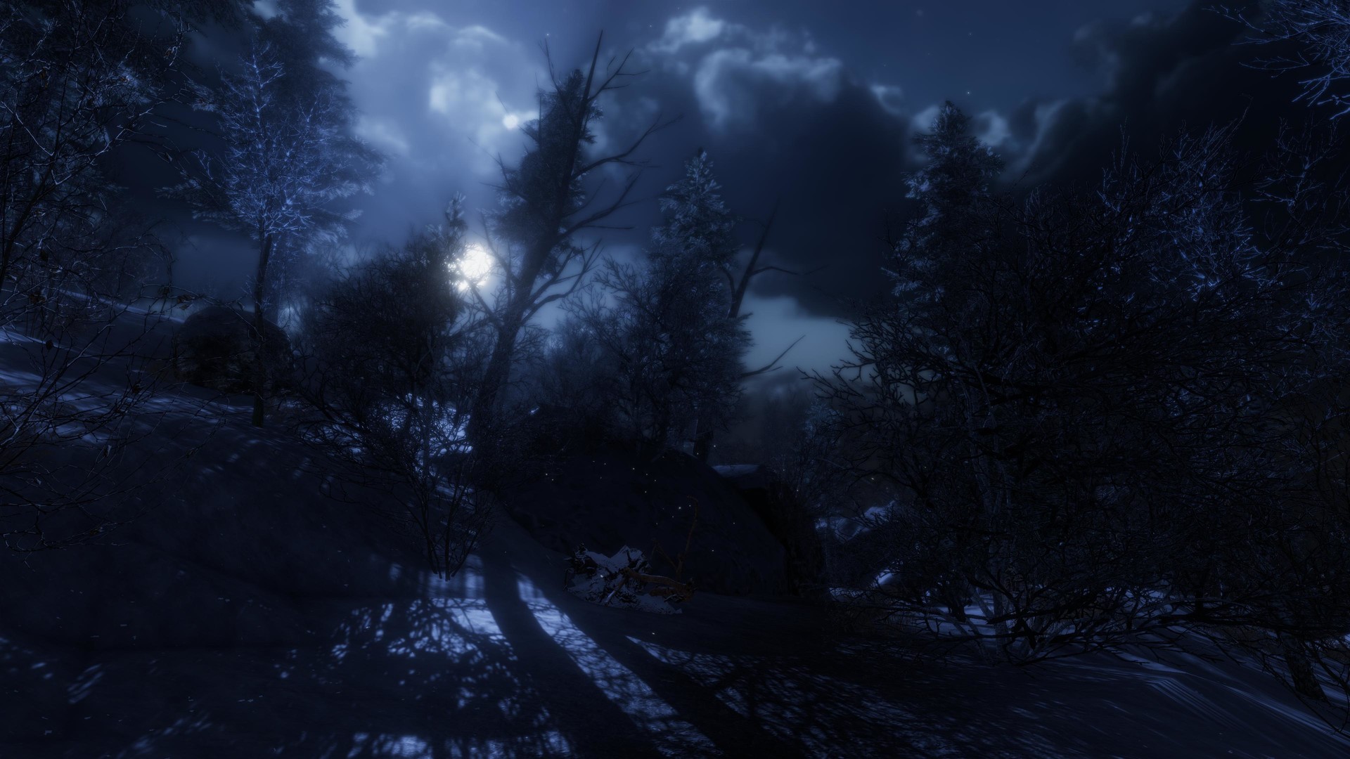 遗忘之地/The Forgotten - 5