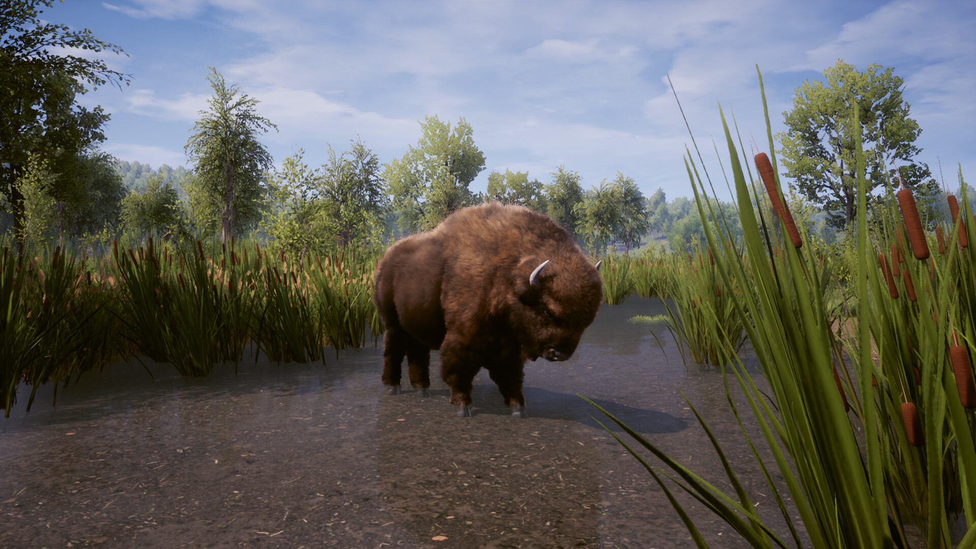 图片[16]-中世纪王朝（Medieval Dynasty Ultimate Edition）免安装终极中文版下载-蒸汽游戏宝库 - 高质量Steam单机游戏下载站