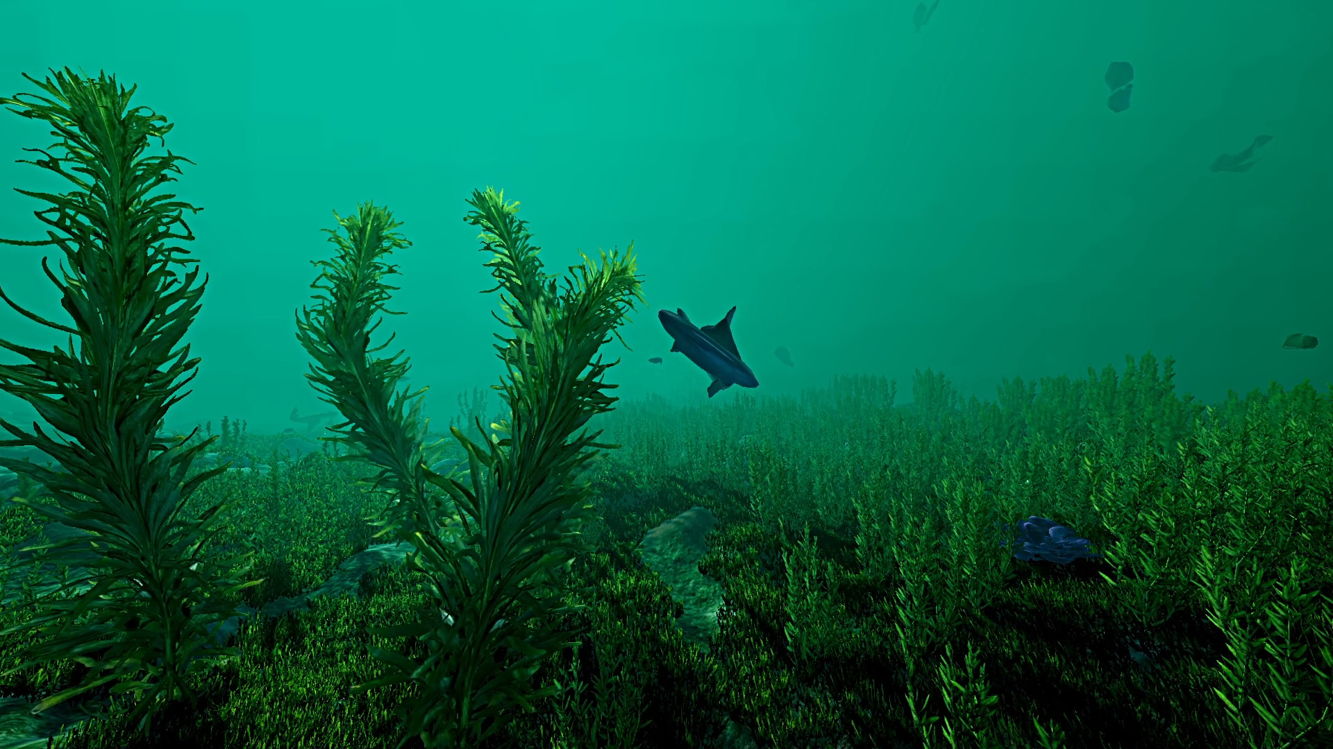 生态系统/Ecosystem 截图 11