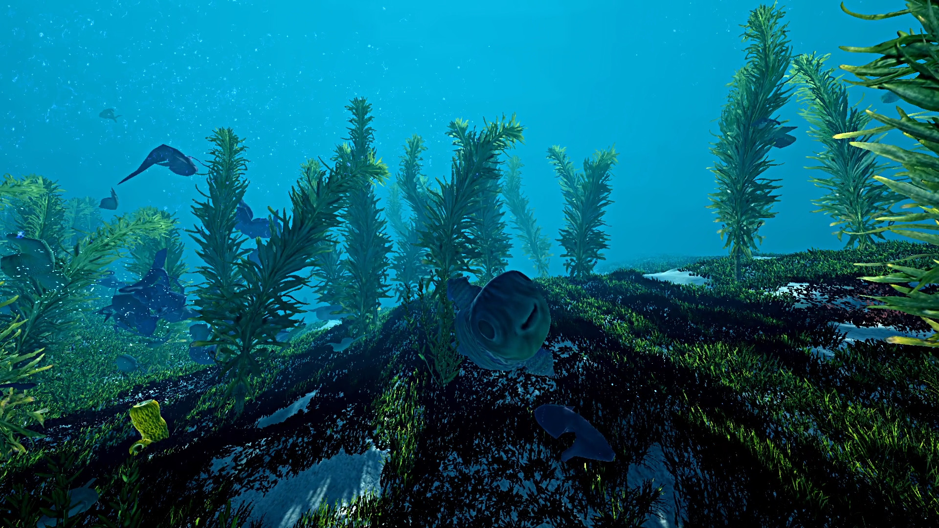 生态系统|v1.01|官方中文|Ecosystem - 14