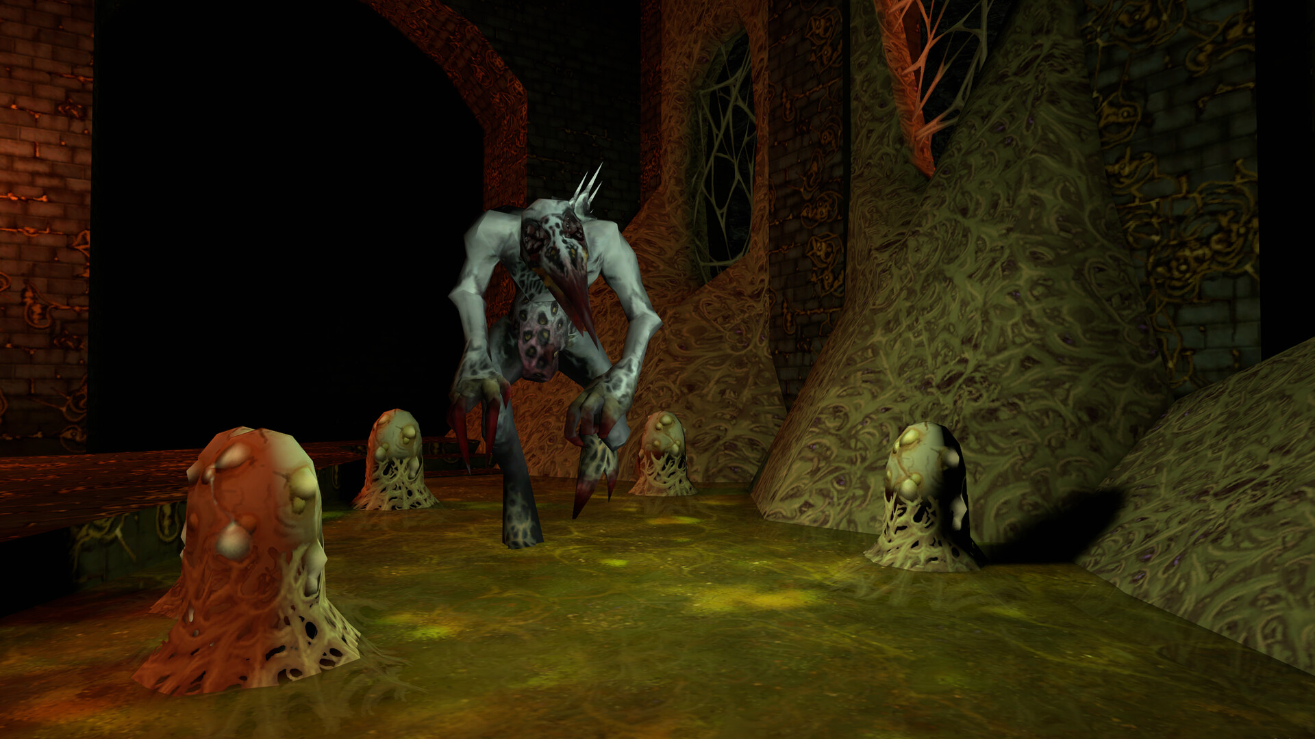 Image 34