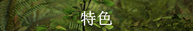 羊肚菌：狩猎|官方中文|支持手柄|Morels: The Hunt插图2