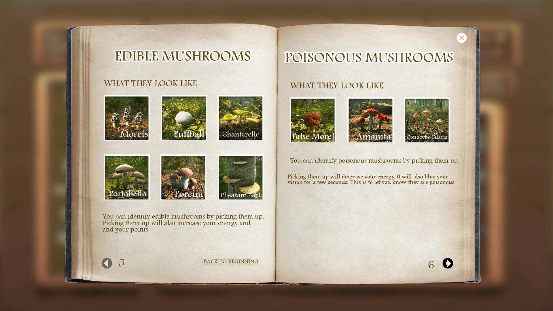 羊肚菌：狩猎/Morels: The Hunt 截图 9