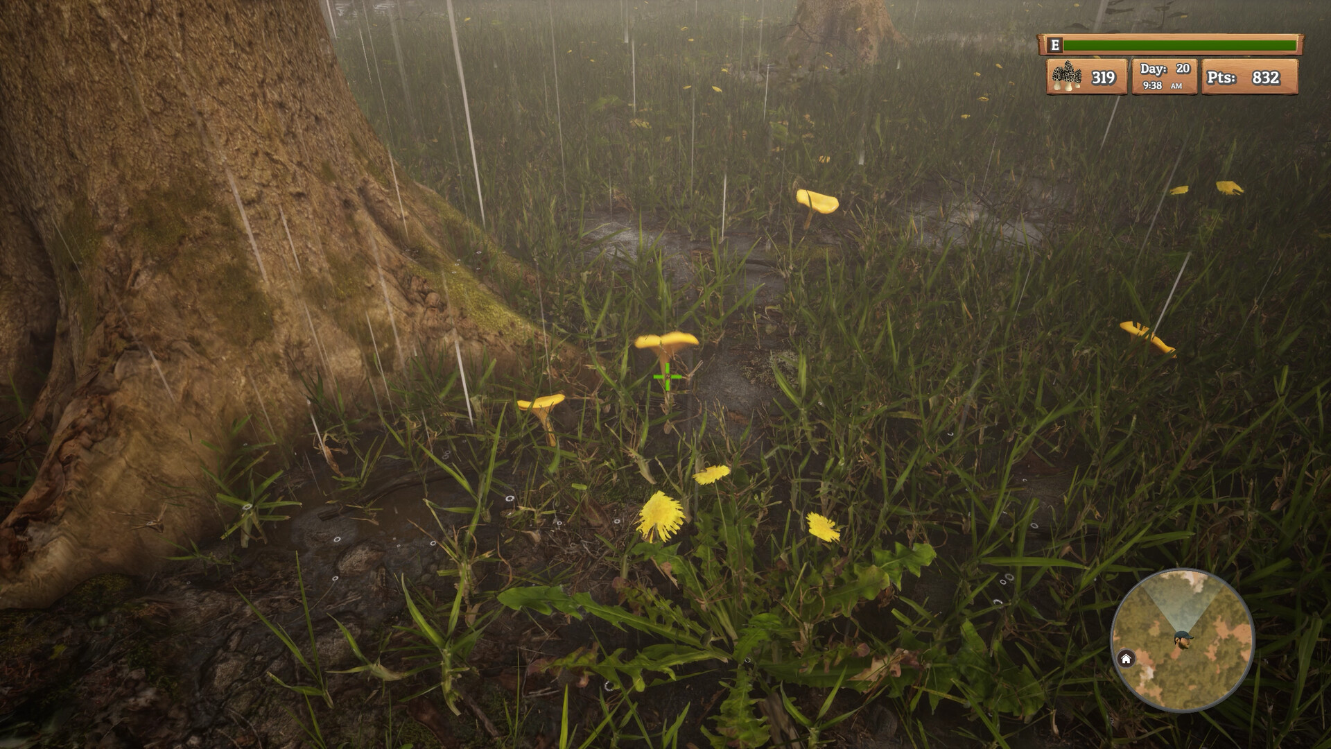 羊肚菌：狩猎/Morels: The Hunt 截图 27