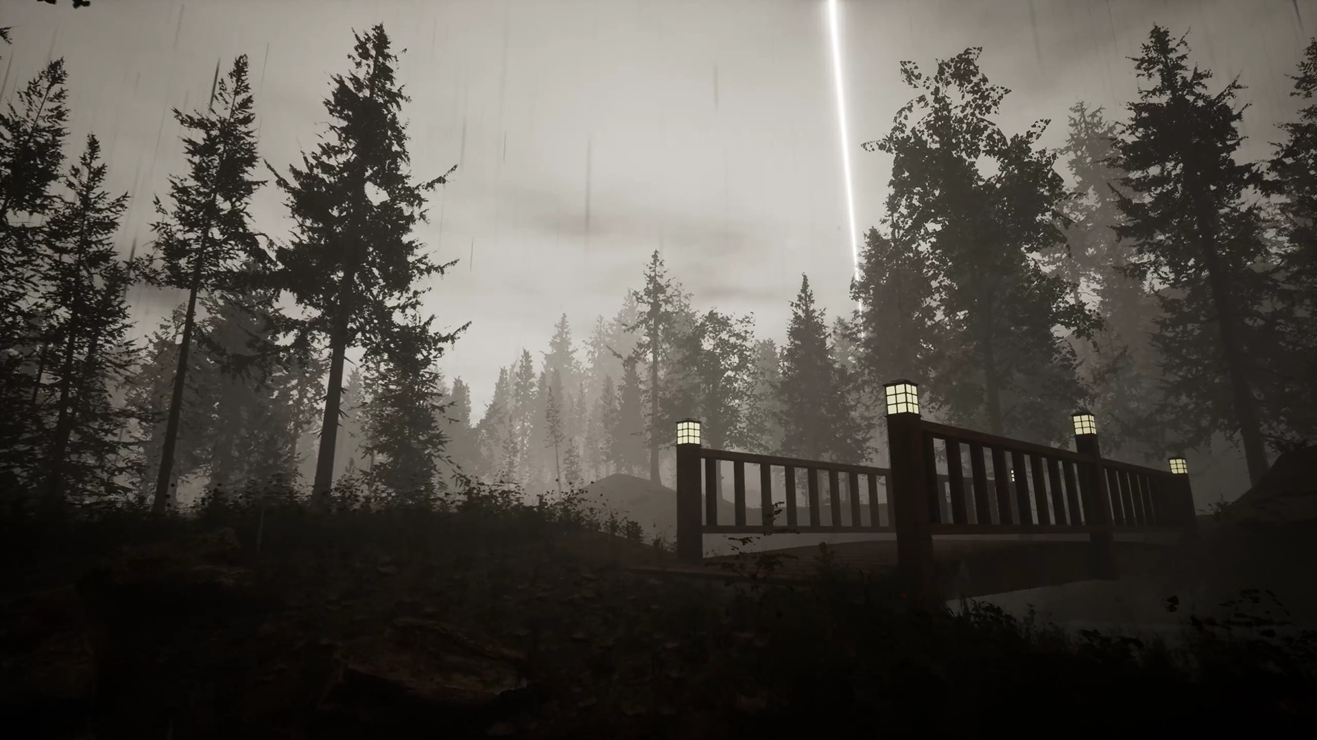 羊肚菌：狩猎/Morels: The Hunt 截图 21