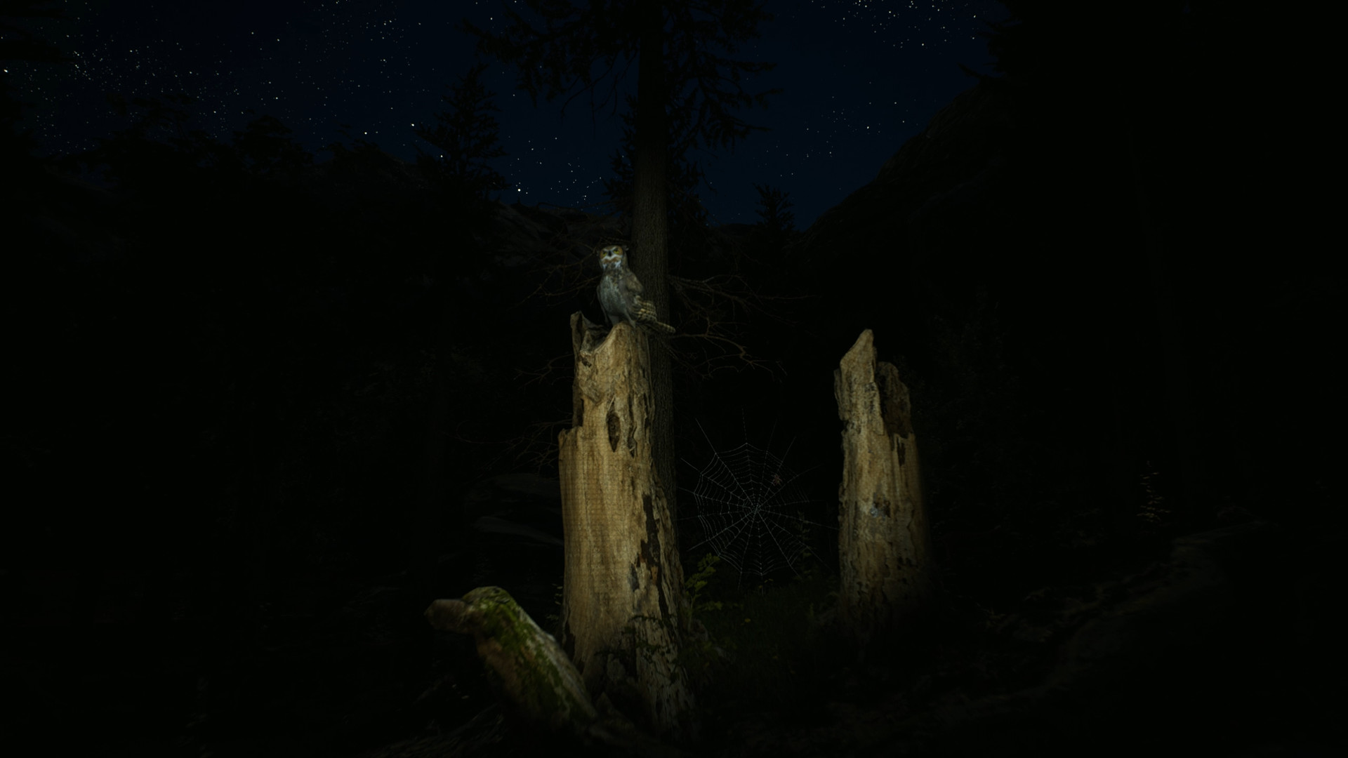 羊肚菌：狩猎/Morels: The Hunt 截图 26