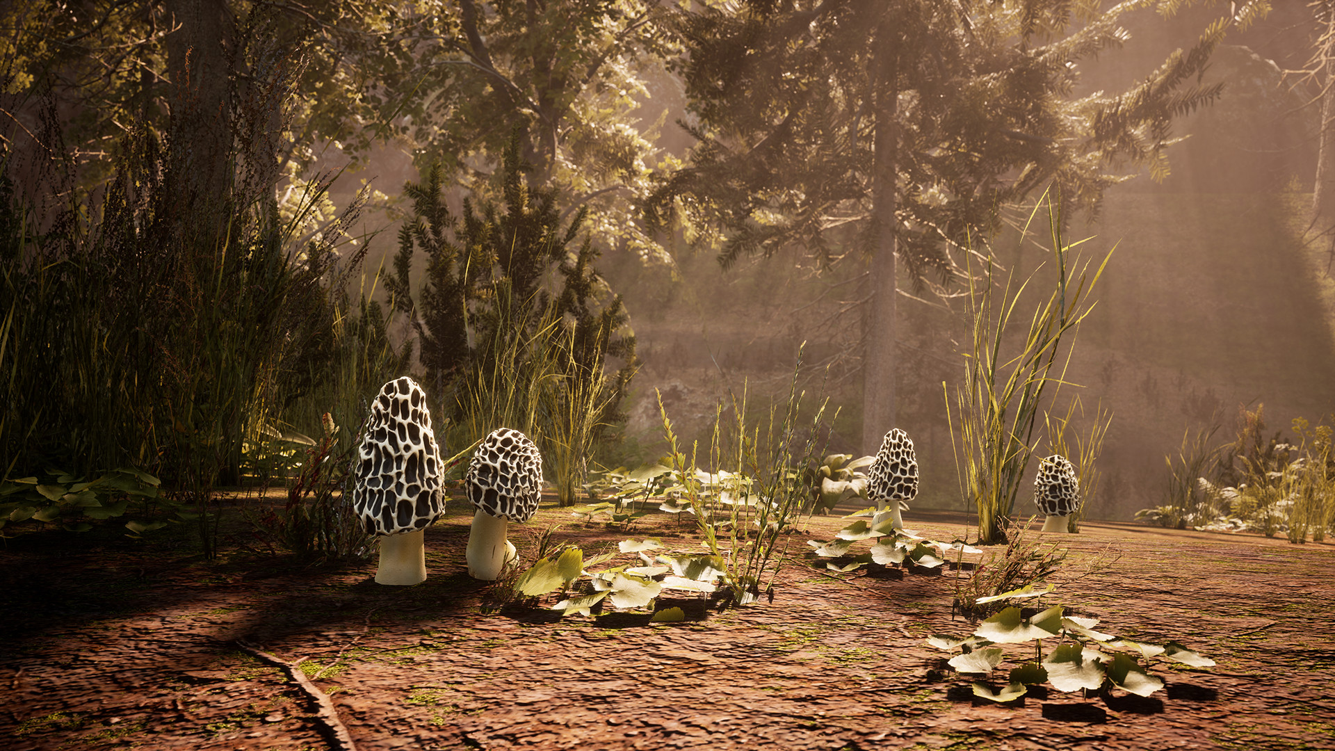 羊肚菌：狩猎|6G大小|官方中文|支持手柄|Morels: The Hunt