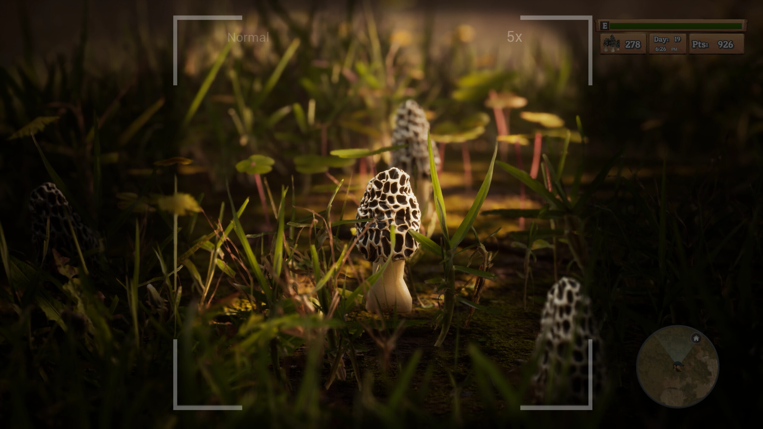 羊肚菌：狩猎|6G大小|官方中文|支持手柄|Morels: The Hunt