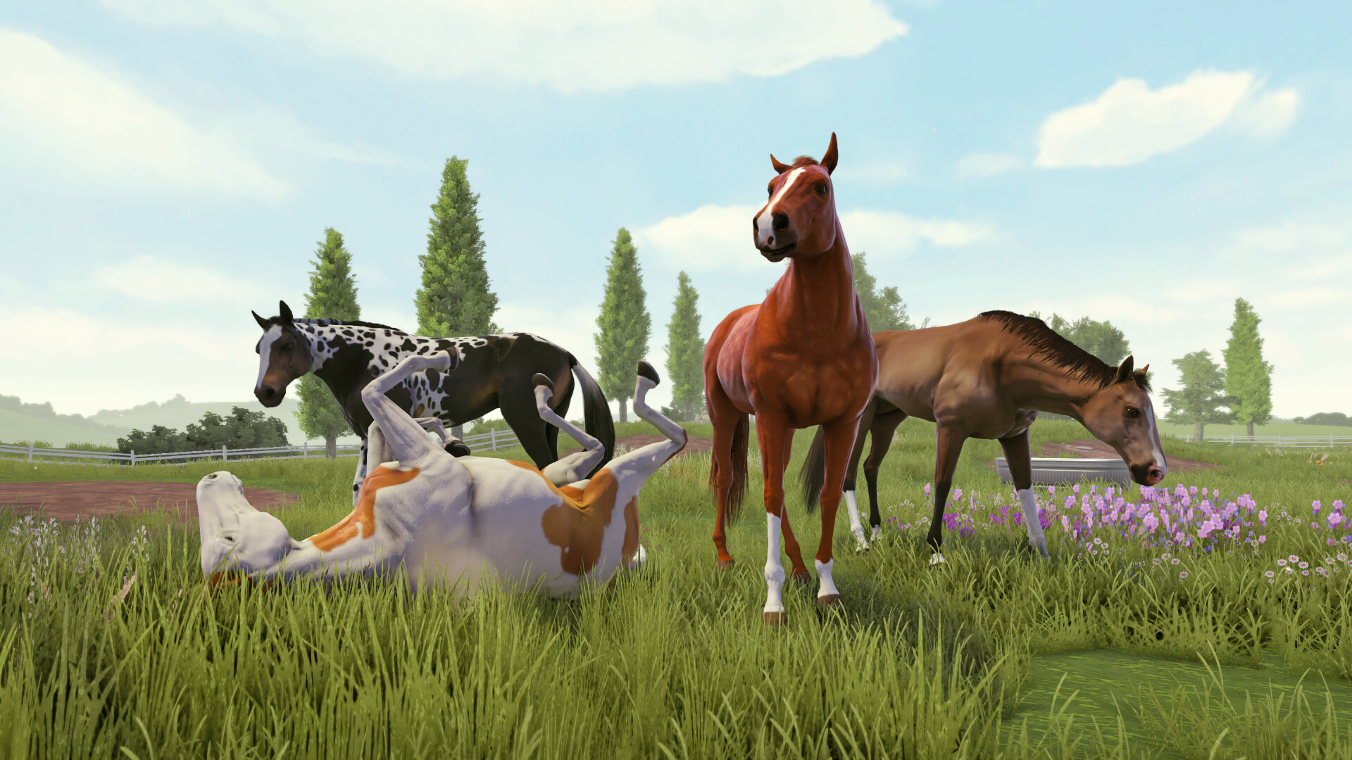 家族传奇:马匹养成竞技/Rival Stars Horse Racing: Desktop Edition v1.29|模拟经营|容量4GB|免安装绿色中文版|支持键盘.鼠标.手柄-小辉娱乐网