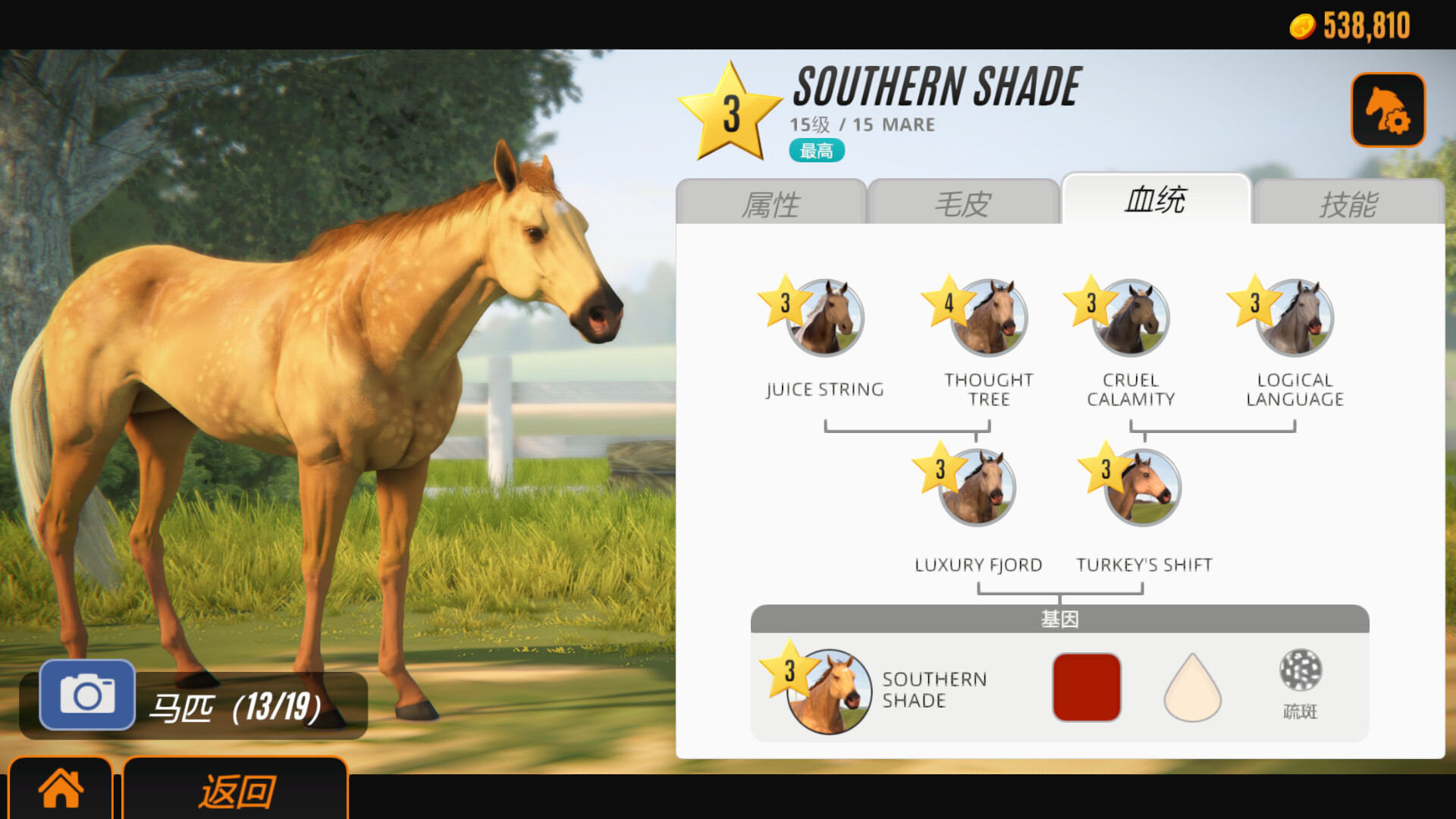 家族传奇:马匹养成竞技/Rival Stars Horse Racing: Desktop Edition v1.29|模拟经营|容量4GB|免安装绿色中文版|支持键盘.鼠标.手柄-小辉娱乐网