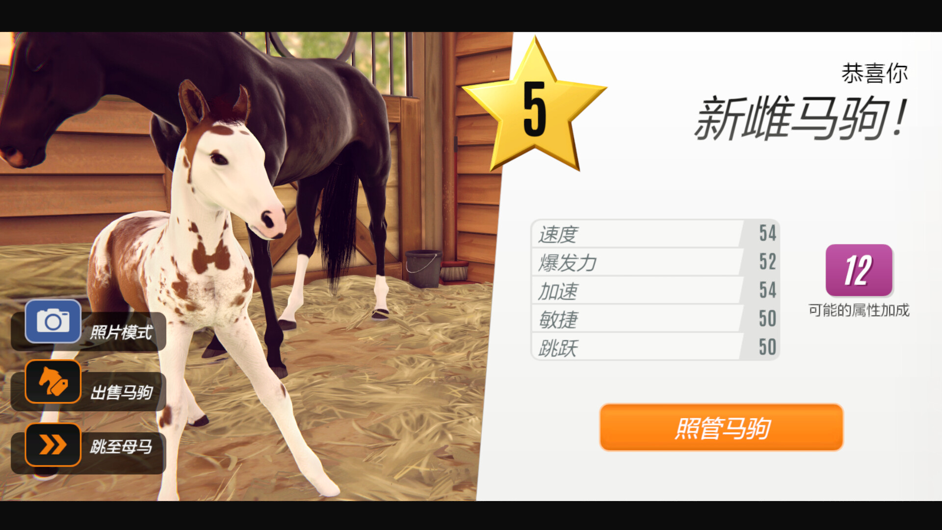 家族传奇:马匹养成竞技/Rival Stars Horse Racing: Desktop Edition v1.29|模拟经营|容量4GB|免安装绿色中文版|支持键盘.鼠标.手柄-小辉娱乐网
