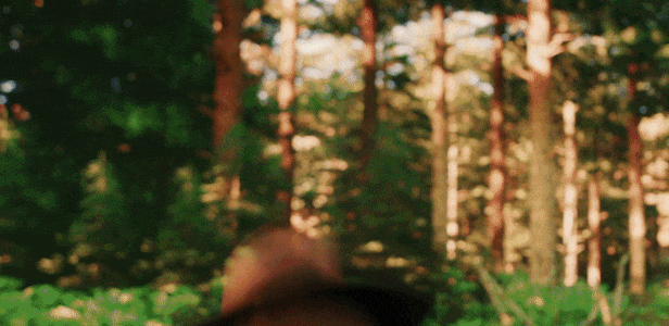 《森林管理员模拟器/Forest Ranger Simulator》Build.13686320|容量6.92GB|官方简体中文绿色版