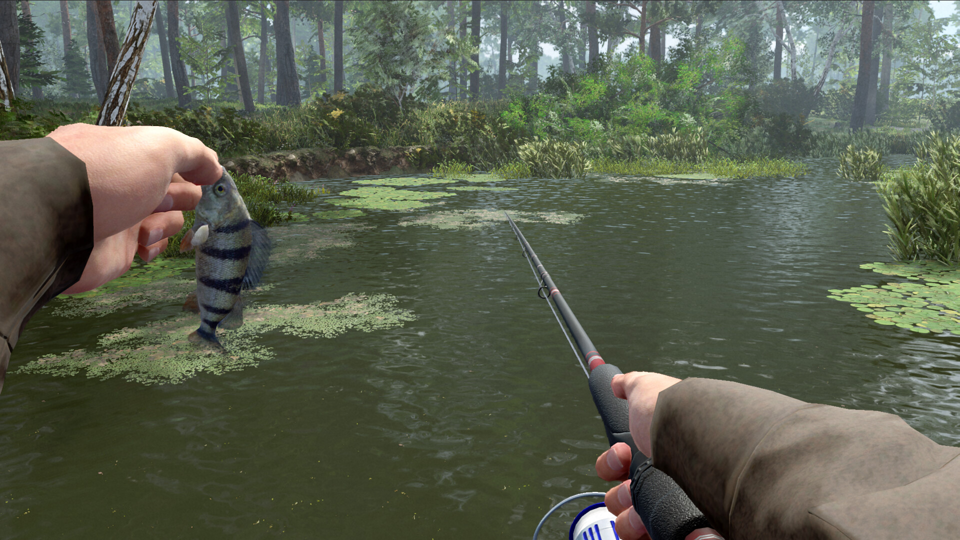 图片[3]-专业钓鱼2 / Professional Fishing 2 简体中文版-软壳源码网