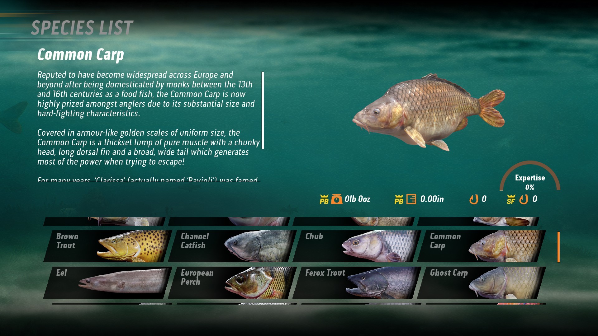 The Catch：Carp & Coarse Fishing_图片3