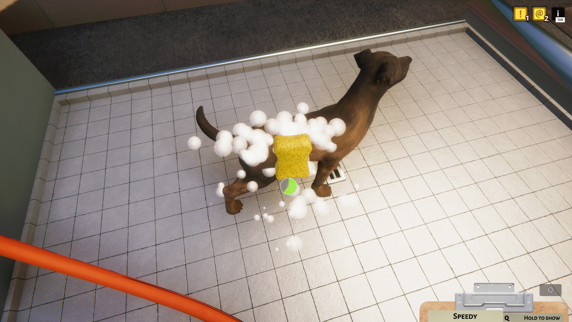 动物收容所|v1.3.19.38.257|全DLC|官方中文|Animal Shelter - 3