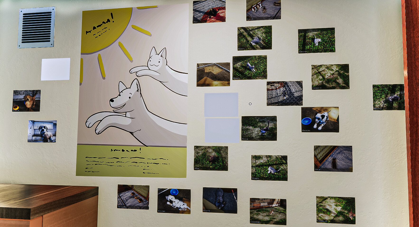 动物收容所/Animal Shelter 截图 18